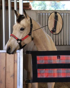 KENSINGTON Halters|™ Premium Breakaway Halter