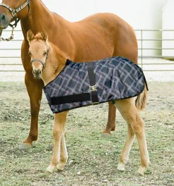 KENSINGTON Turnout Blankets|™ Signature Adjustable Large Foal Turnout