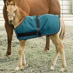 KENSINGTON Turnout Blankets|™ Signature Adjustable Large Foal Turnout