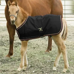 KENSINGTON Turnout Blankets|™ Signature Adjustable Large Foal Turnout
