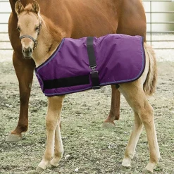 KENSINGTON Turnout Blankets|™ Signature Adjustable Large Foal Turnout