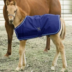 KENSINGTON Turnout Blankets|™ Signature Adjustable Small Foal Turnout Blanket