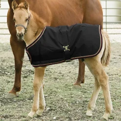 KENSINGTON Turnout Blankets|™ Signature Adjustable Small Foal Turnout Blanket