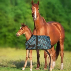 KENSINGTON Turnout Blankets|™ Signature Adjustable Small Foal Turnout Blanket