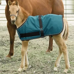 KENSINGTON Turnout Blankets|™ Signature Adjustable Small Foal Turnout Blanket