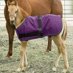 KENSINGTON Turnout Blankets|™ Signature Adjustable Small Foal Turnout Blanket
