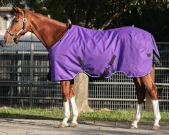 KENSINGTON Turnout Blankets|™ Signature Heavyweight Turnout Blanket