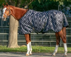 KENSINGTON Turnout Blankets|™ Signature Lightweight Turnout Blanket