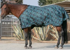 KENSINGTON Turnout Blankets|™ Signature Lightweight Turnout Blanket