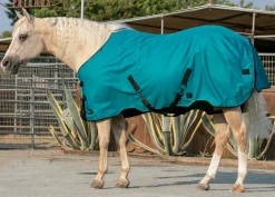 KENSINGTON Turnout Blankets|™ Signature Lightweight Turnout Blanket