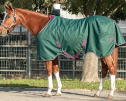 KENSINGTON Turnout Blankets|™ Signature Medium-Weight Turnout Blanket