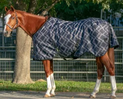 KENSINGTON Turnout Blankets|™ Signature Medium-Weight Turnout Blanket