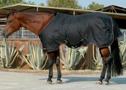 KENSINGTON Turnout Blankets|™ Signature Medium-Weight Turnout Blanket