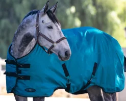 KENSINGTON Turnout Blankets|™ Signature Medium-Weight Turnout Blanket