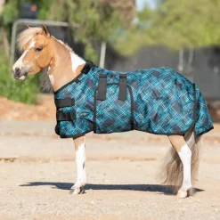 KENSINGTON Turnout Blankets|™ Signature Mini Lightweight Turnout Blanket