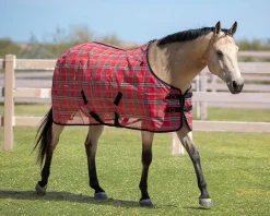 KENSINGTON Fly Control|Fly Sheets|™ Signature Protective SureFit® Textilene®Fly Sheet