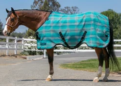 KENSINGTON Fly Control|Fly Sheets|™ Signature Protective SureFit® Textilene®Fly Sheet