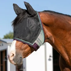 KENSINGTON Fly Control|Fly Masks|™ UViator CatchMask Protective Mask with Ears & Forelock Opening