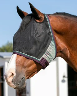 KENSINGTON Fly Masks|Fly Control|™ UViator CatchMask® with Web Trim