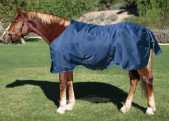KENSINGTON Turnout Blankets|™ XL Signature Medium-Weight Turnout Blanket