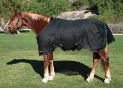 KENSINGTON Turnout Blankets|™ XL Signature Medium-Weight Turnout Blanket