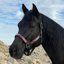 KENSINGTON Halters|™ Premium Halter