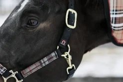 KENSINGTON Halters|™ Premium Halter