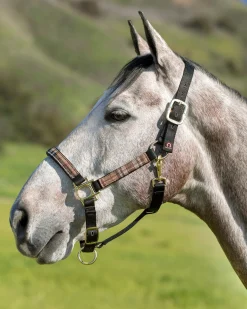 KENSINGTON Halters|™ Premium Halter