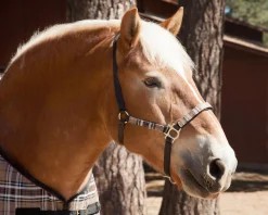 KENSINGTON Halters|™ Premium Halter