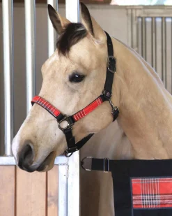 KENSINGTON Halters|™ Premium Halter