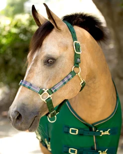 KENSINGTON Halters|™ Premium Halter
