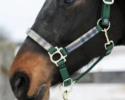 KENSINGTON Halters|™ Premium Halter