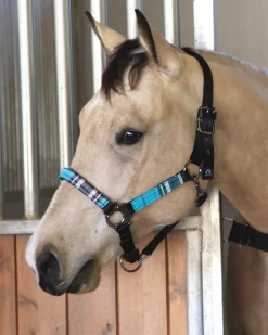 KENSINGTON Halters|™ Premium Halter