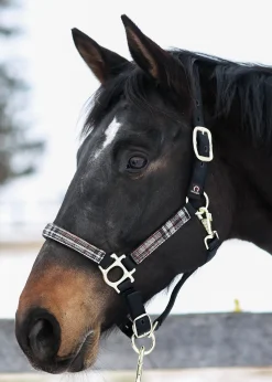 KENSINGTON Halters|™ Premium Halter