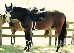 KENTUCKY HORSEWEAR Girths & Accessories|Vegan Sheepskin Stud Girth