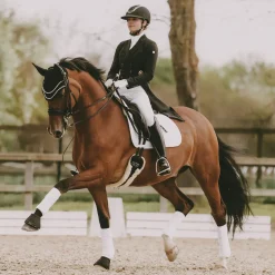 KENTUCKY HORSEWEAR Ear Bonnets|Ear Bonnets|Wellington Big Stone & Pearl Fly Veil