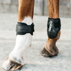 KENTUCKY HORSEWEAR Horse Boots|Young Horse Fetlock Boots