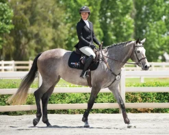 KERRITS Show Jackets|® Ladies’ Affinity Aero Show Coat