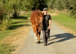 KERRITS Knee Patch Breeches| Ladies’ Microcord Bootcut Pocket Knee-Patch Breech - Regular