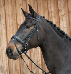 KIEFFER SATTLERWAREN English Bridles|Kieffer Ergonomic III Snaffle Bridle