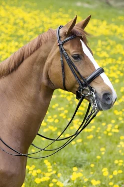 KIEFFER SATTLERWAREN English Bridles|Kieffer Padded Ergonomic Line II Double Bridle