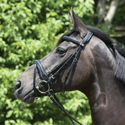 KIEFFER SATTLERWAREN English Bridles|Kieffer Perseus Clincher Snaffle Bridle