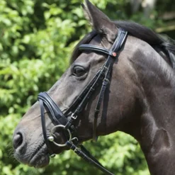 KIEFFER SATTLERWAREN English Bridles|Kieffer Perseus Snaffle Bridle with Plain Browband