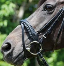 KIEFFER SATTLERWAREN English Bridles|Kieffer Perseus Snaffle Bridle with Plain Browband