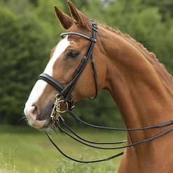 KIEFFER SATTLERWAREN English Bridles|Kieffer Sylvie Double Bridle