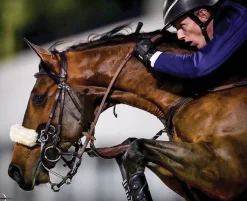 KHK HOLDINGS LLC Riding Gloves|Kunkle Show Gloves