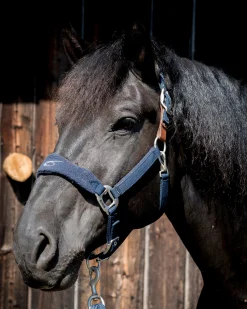 PARTRADE Halters|Lami-Cell Fleece-Lined Halter