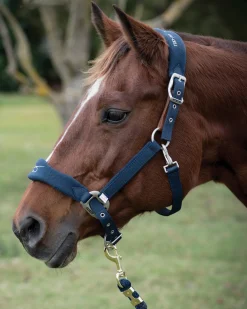PARTRADE Halters|Lami-Cell Fleece-Lined Halter