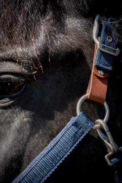 PARTRADE Halters|Lami-Cell Fleece-Lined Halter