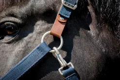 PARTRADE Halters|Lami-Cell Fleece-Lined Halter